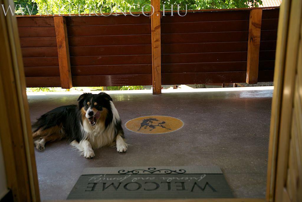 El Bronco Working Ranch Izsák Dış mekan fotoğraf