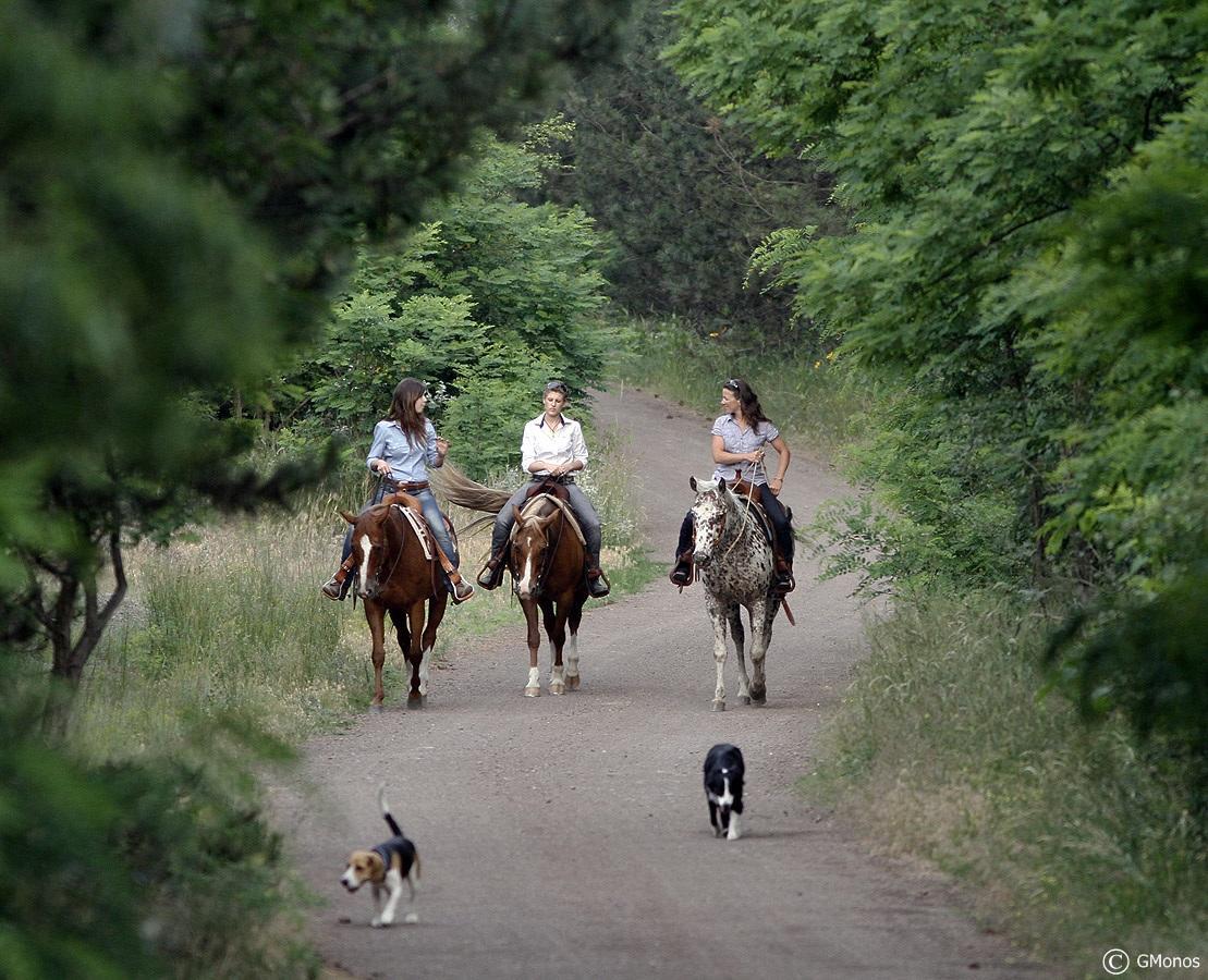El Bronco Working Ranch Izsák Dış mekan fotoğraf
