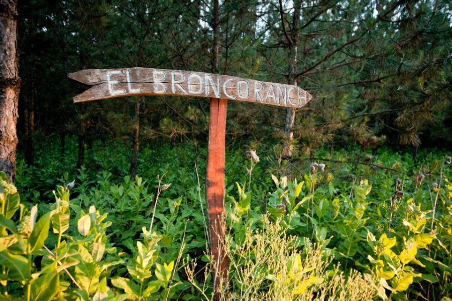 El Bronco Working Ranch Izsák Dış mekan fotoğraf